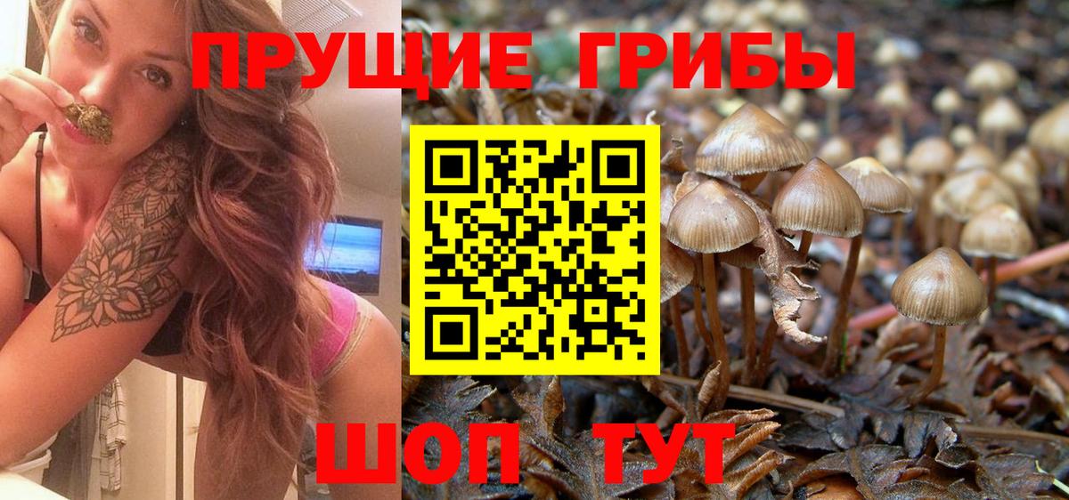 Псилоцибиновые грибы Cubensis Магнитогорск
