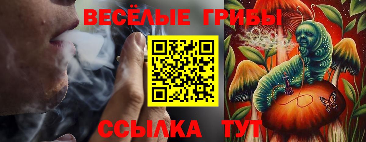Псилоцибиновые грибы мицелий  Вход с VPN  Магнитогорск 